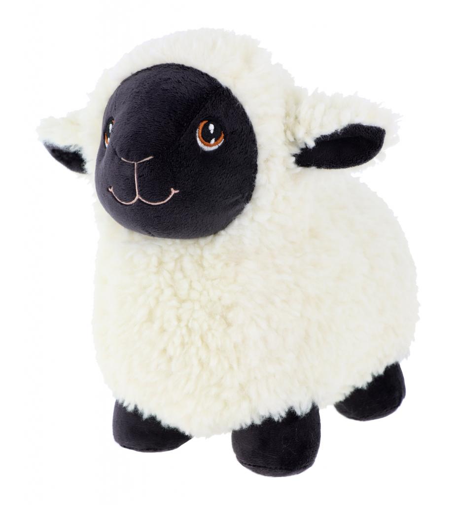 Standing Sheep
